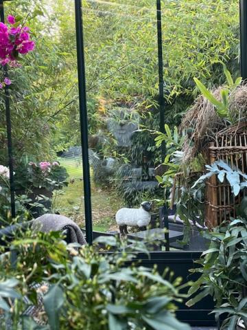 Chambres D'Hotes & Spa Le Chat Chez Qui J'Habite Saint-Aubin-sur-Mer  Ngoại thất bức ảnh